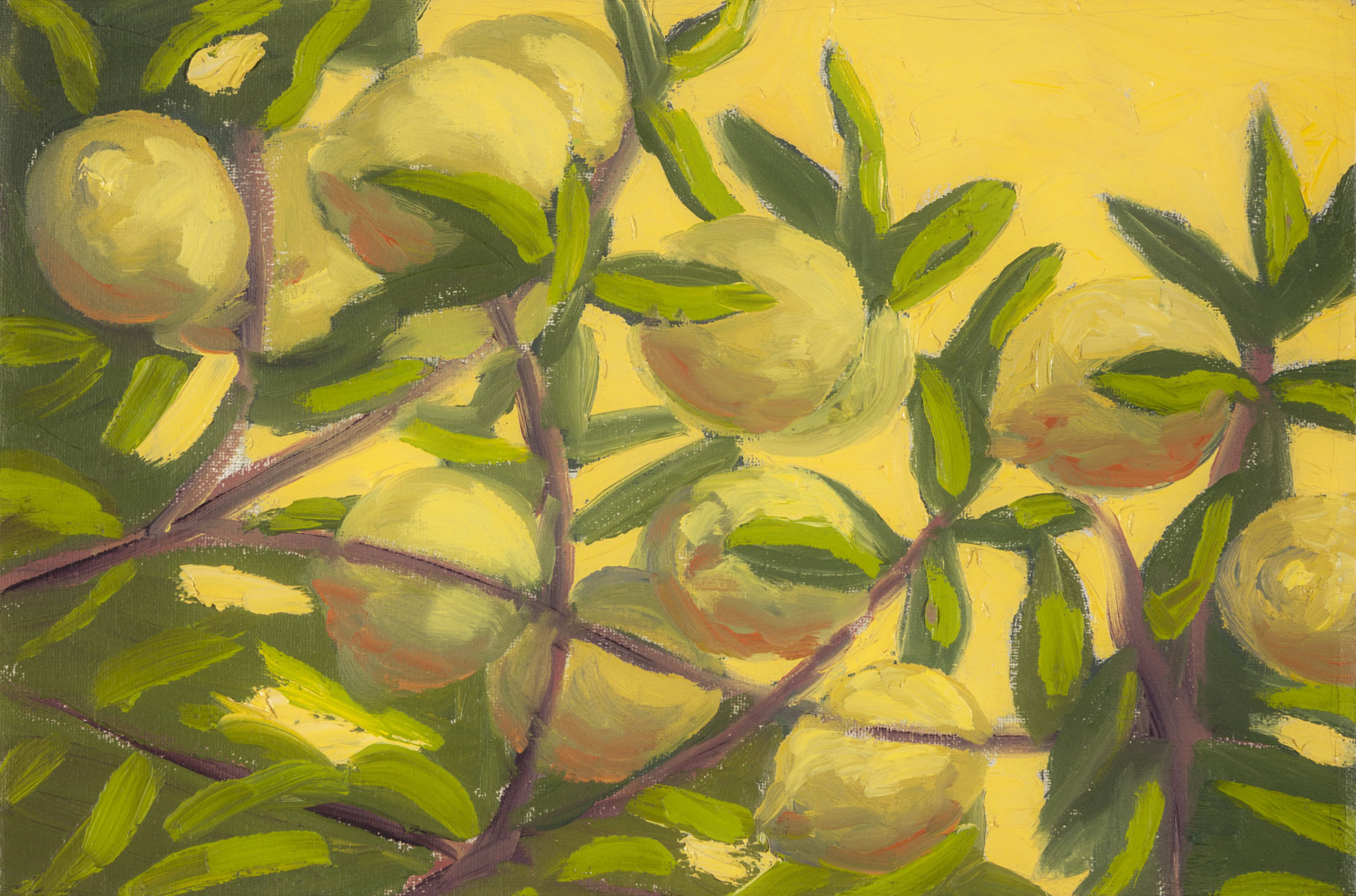 40 - Limoni a mezzogiorno, 1982, olio su tela, 25 x 35 cm