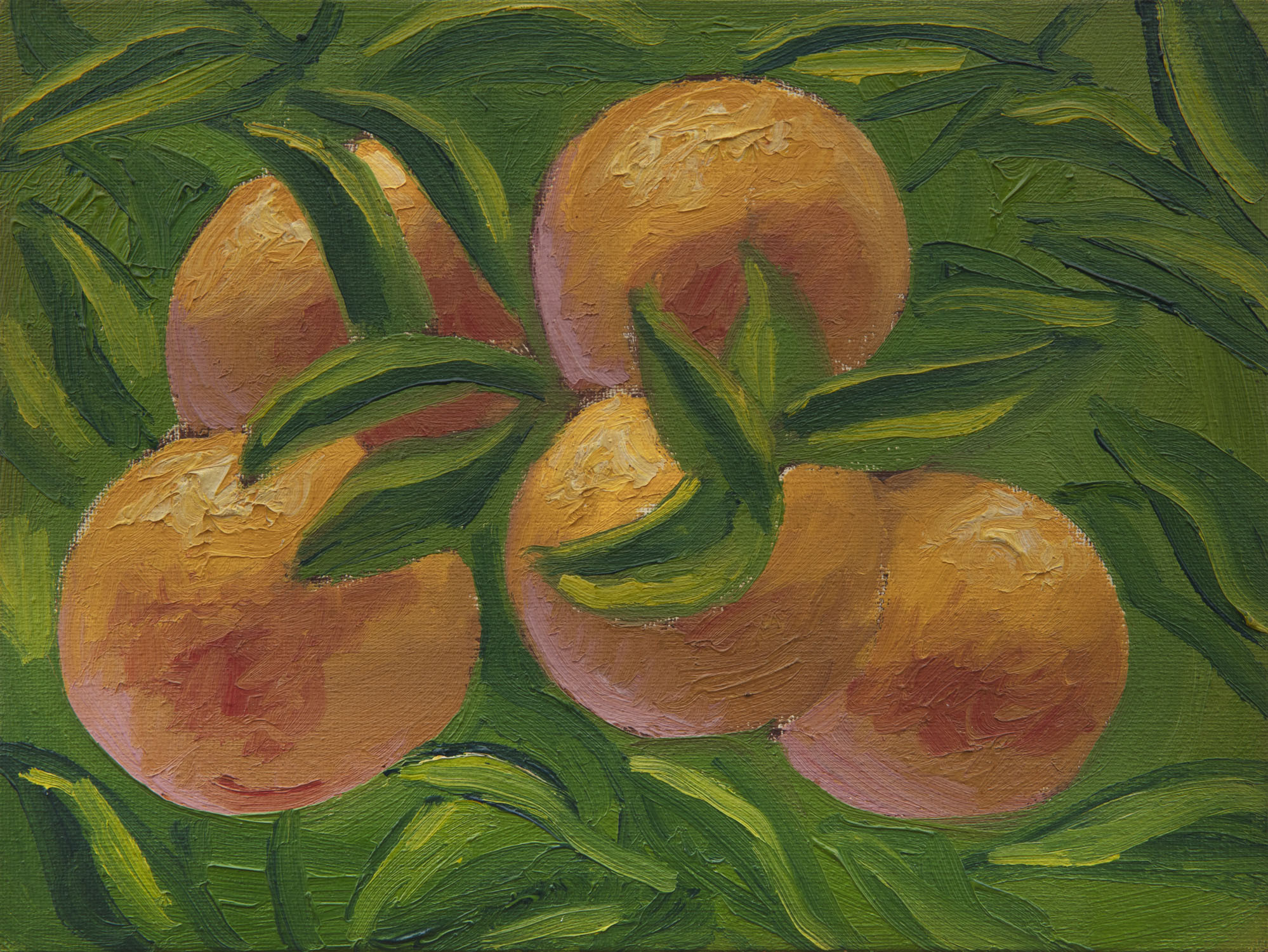 37 - Arance, 1981, olio su tela, 18 x 23,7 cm